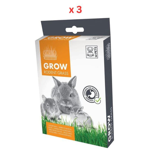 Grow Rodent Grass