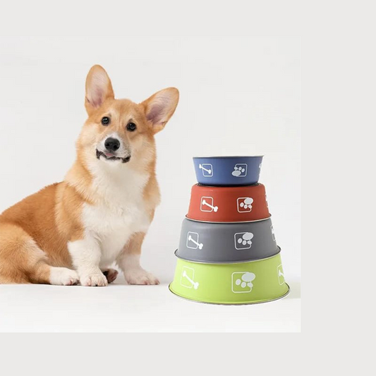 Saas Non Slip Feeding Bowl 1732 L