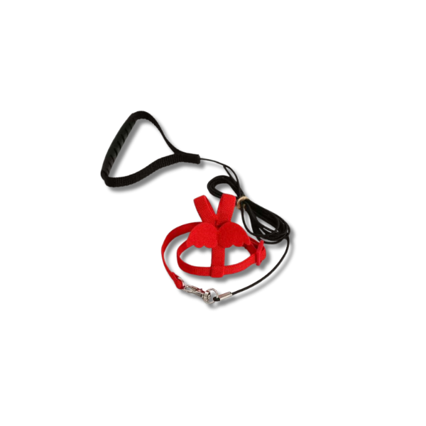 Saas Bird Harness Large